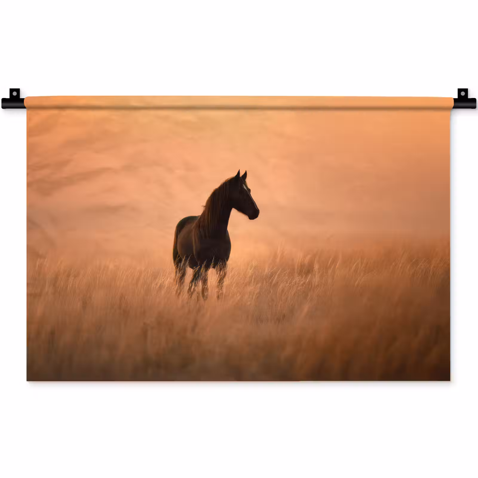 Wandkleed - Paard - Grasveld - Zonsondergang — 1