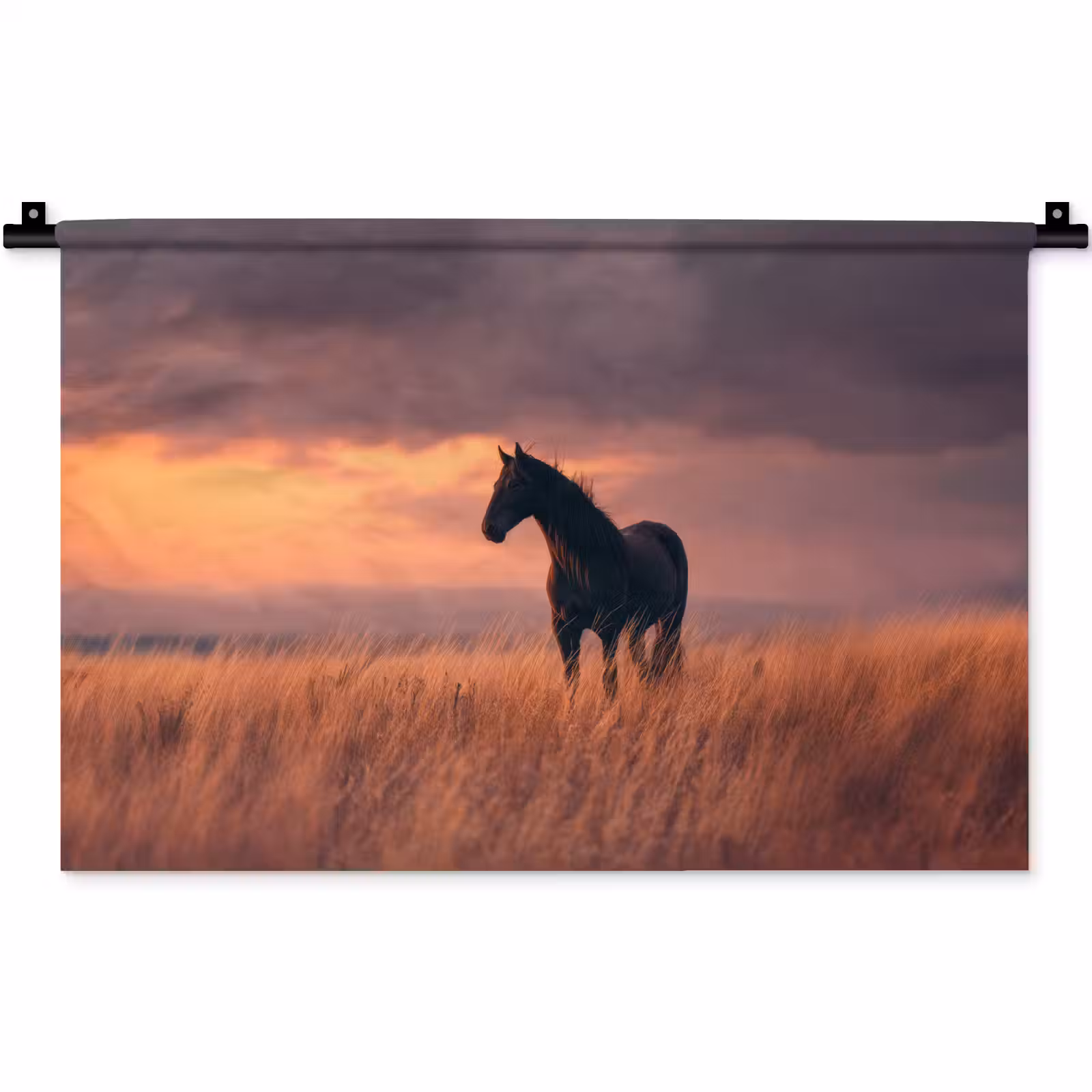 Wandkleed - Paard - Wolken - Open veld — 1