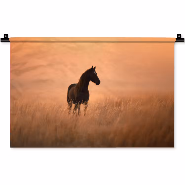 Wandkleed - Paard - Grasveld - Zonsondergang — 1