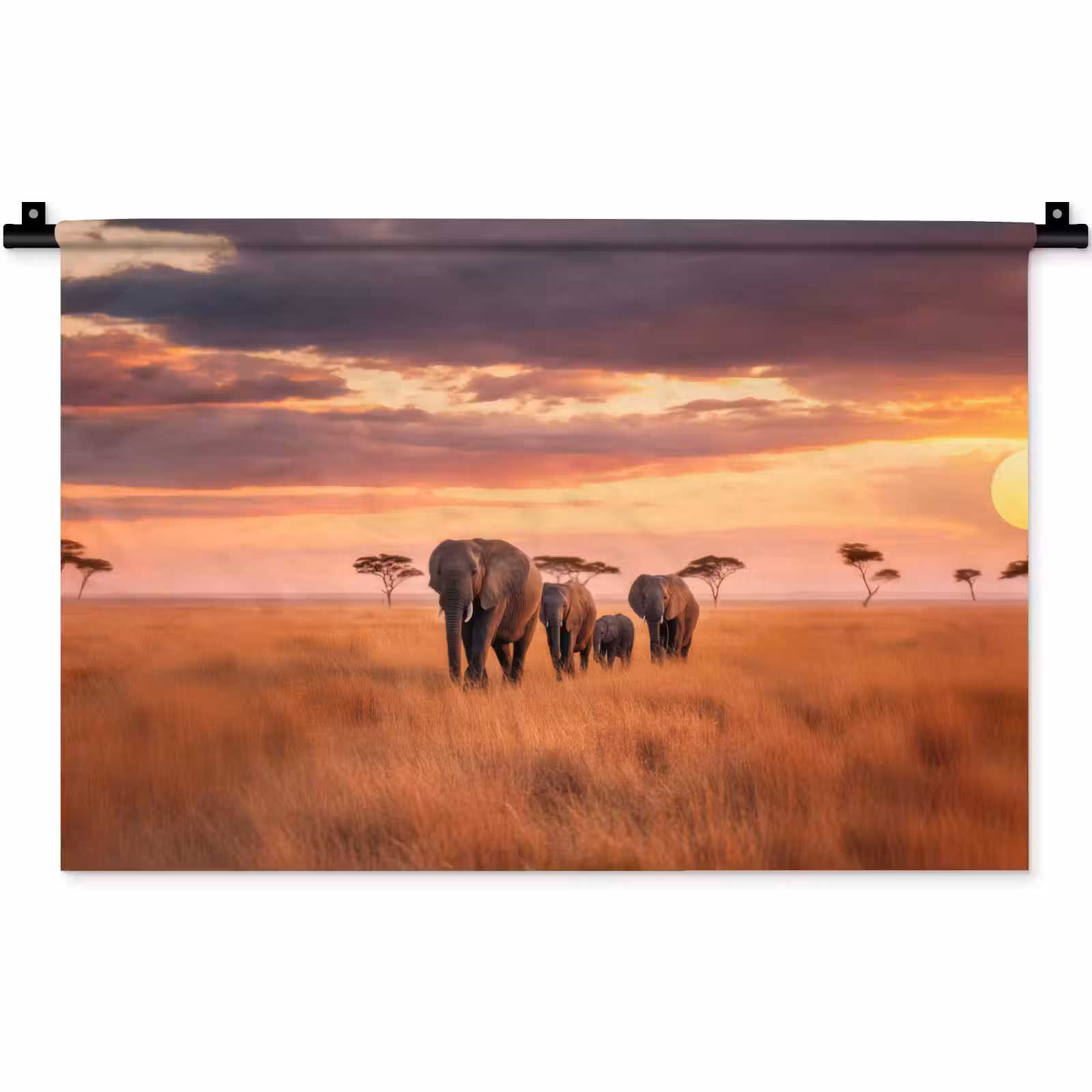 Wandkleed - Groep olifanten - Open vlakte - Zon — 1