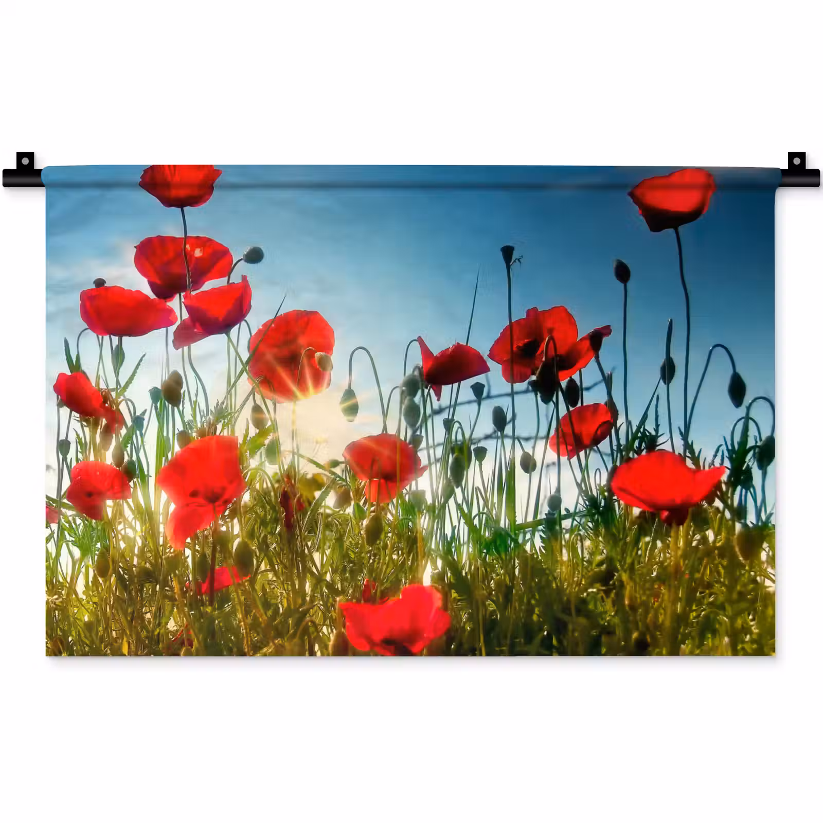 Wandkleed - Klaprozen - Toscane - Zon - Rood - Blauw — 1