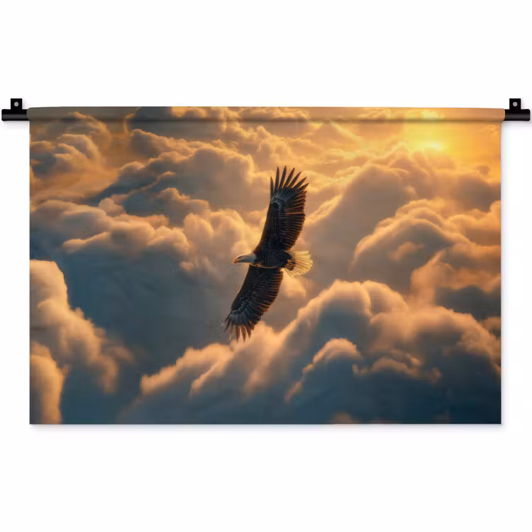 Wandkleed - Adelaar - Wolken - Zon — 1
