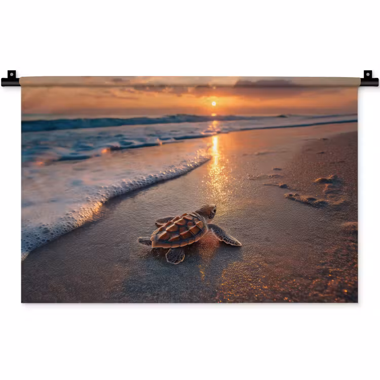 Wandkleed - Schildpad - strand - Zonsondergang — 1