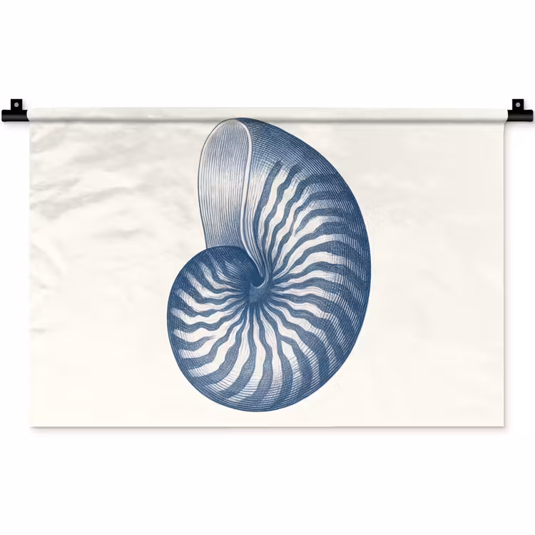 Wandkleed - Blauw - Schelp - Spiraal — 1