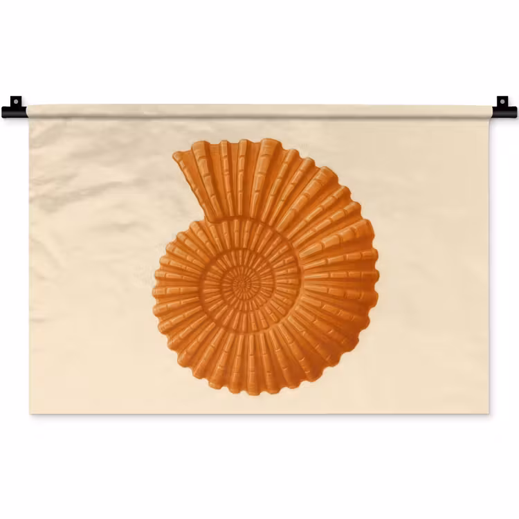 Wandkleed - Schelp - Oranje - Ribbels — 1