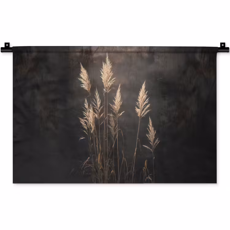 Wandkleed - Siergras - Pluimen - Verlichting - Zwart — 1