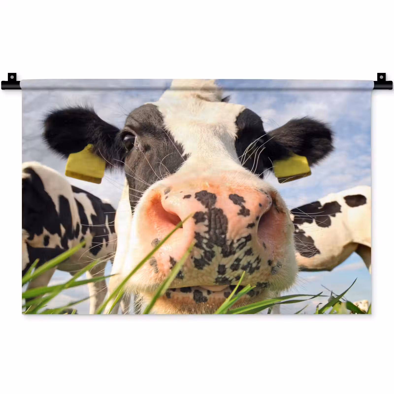 Wandkleed - Koe - Boerderij - Gras - Dieren — 1