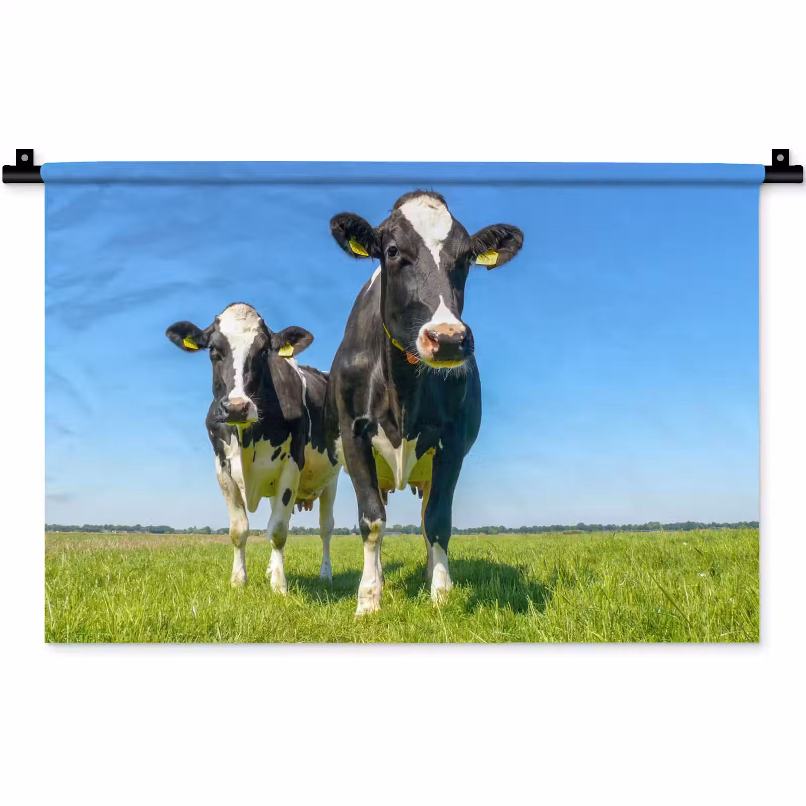 Wandkleed - Koeien - Weiland - Gras - Dieren - Boerderij — 1
