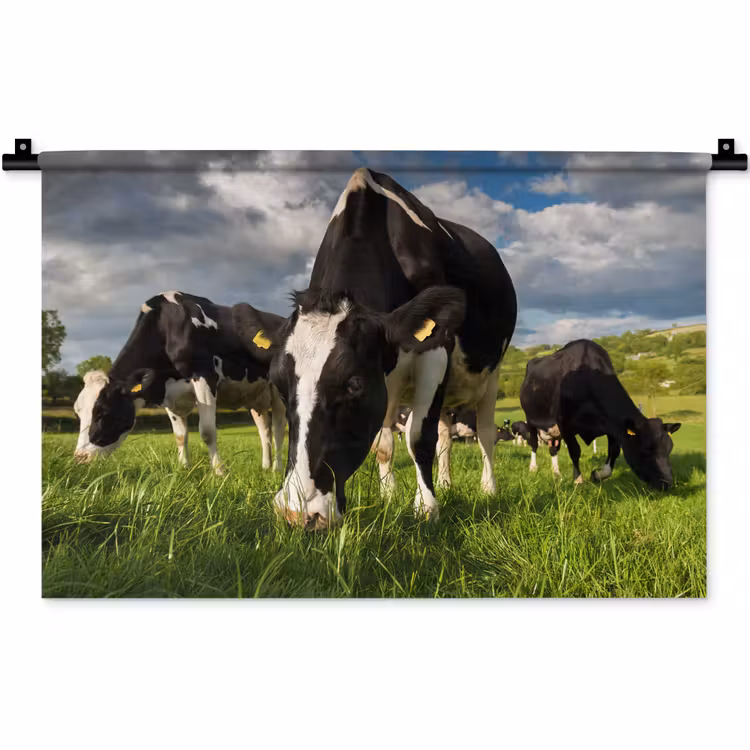 Wandkleed - Koeien - Dieren - Gras - Weiland - Boerderij — 1