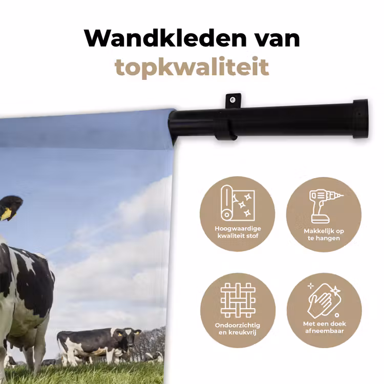 Wandkleed - Koeien - Gras - Dieren - Zon - Boerderij — 3