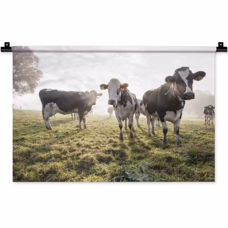 Wandkleed - Koeien - Licht - Gras - Dieren — 1