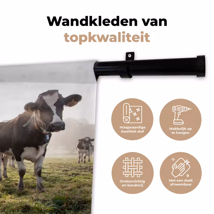 Wandkleed - Koeien - Licht - Gras - Dieren — 3