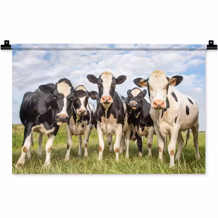 Wandkleed - Koeien - Weiland - Dieren - Natuur - Gras — 1