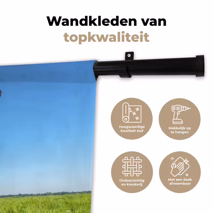 Wandkleed - Koeien - Weiland - Gras - Dieren - Boerderij — 3