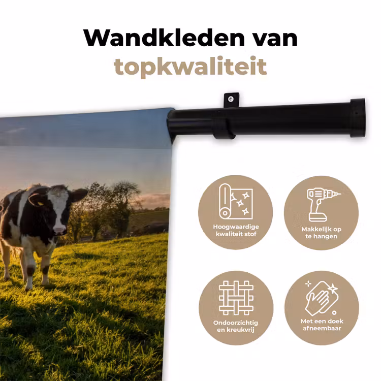Wandkleed - Koeien - Zon - Gras - Dieren - Boerderij — 3