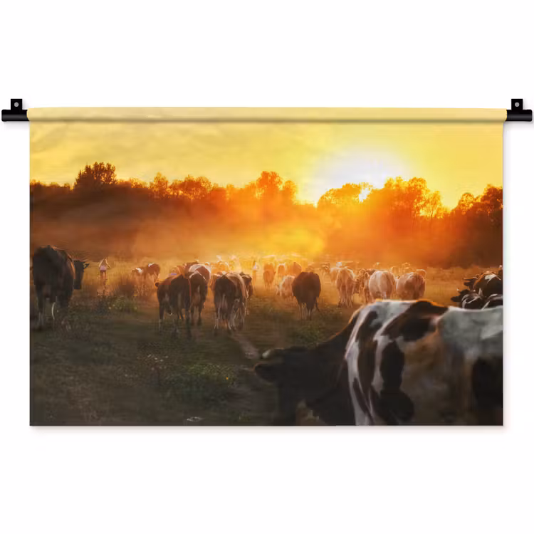 Wandkleed - Koeien - Zonsondergang - Weiland - Dieren — 1