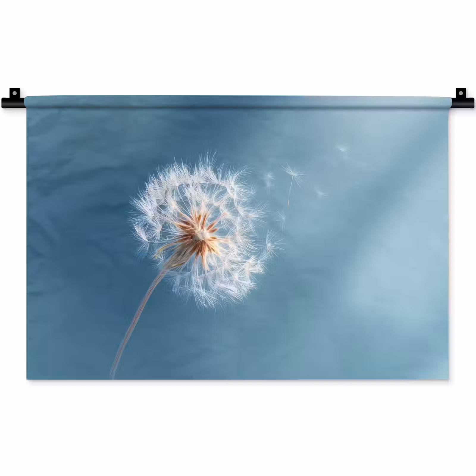 Wandkleed - Paardenbloem - Wind - Blauw — 1