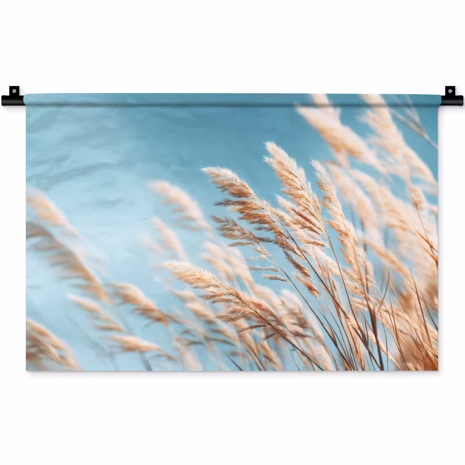 Wandkleed - Siergras - Wind - Lichtbruin — 1