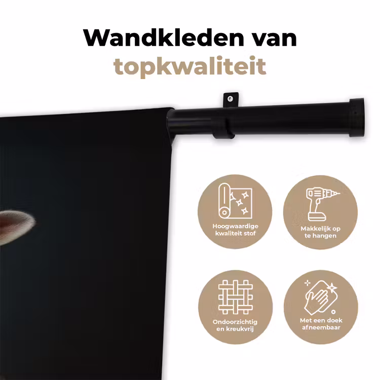 Wandkleed - Schaap - Wol - Kok — 3