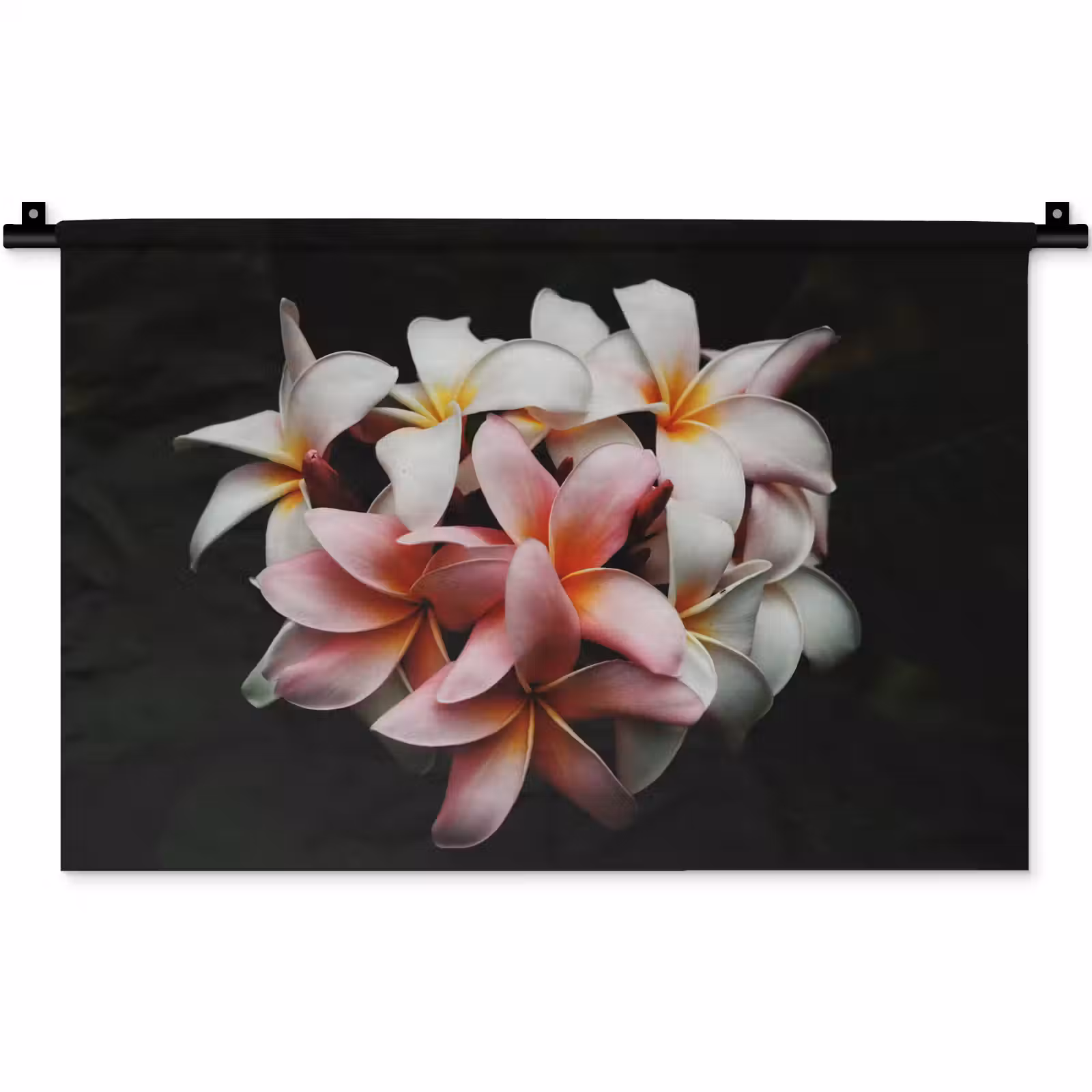 Wandkleed - Bloemen - Roze - Zwart - Flora - Botanisch — 1