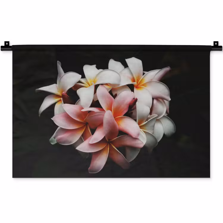 Wandkleed - Bloemen - Roze - Zwart - Flora - Botanisch — 1