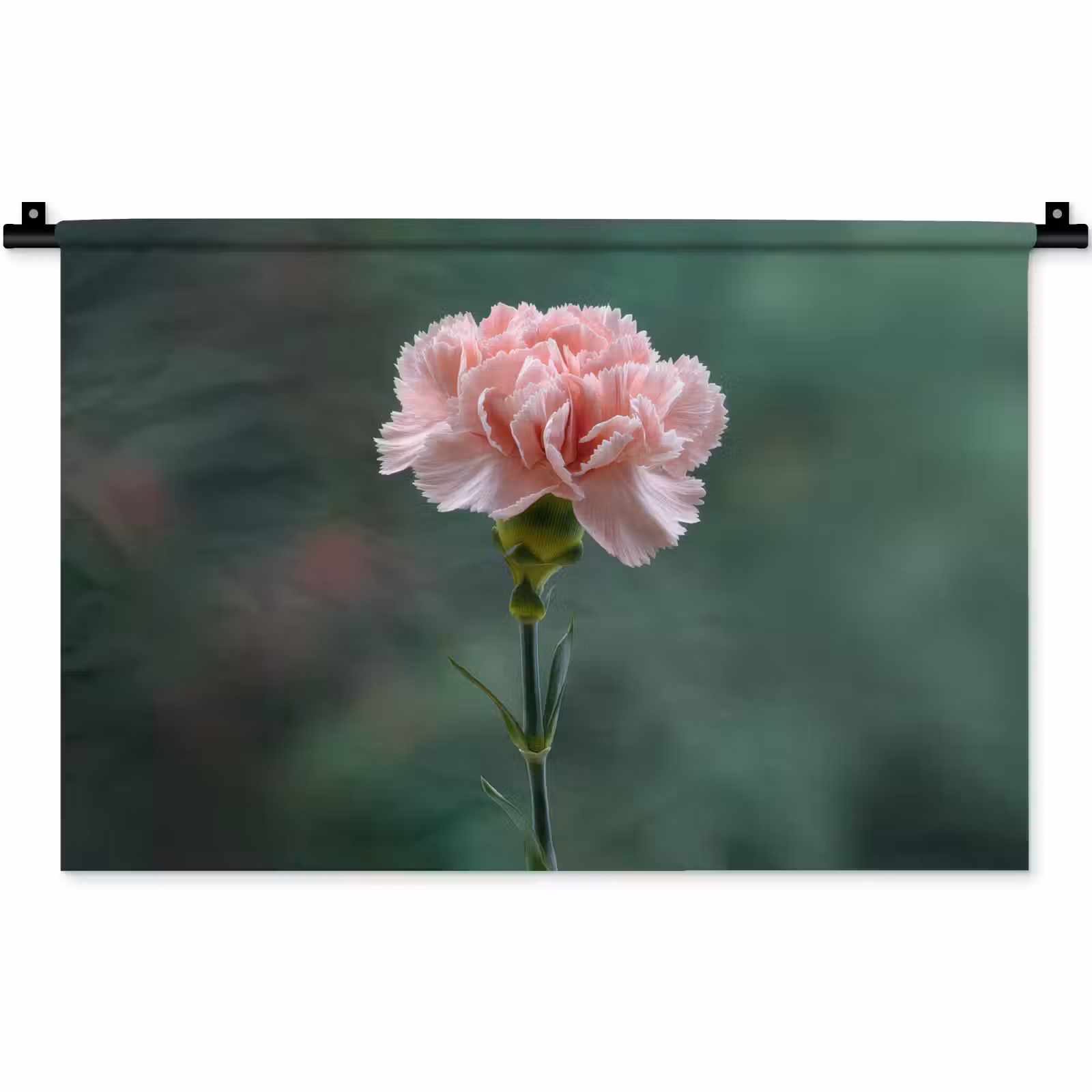 Wandkleed - Anjer - Roze - Bloemblaadjes — 1