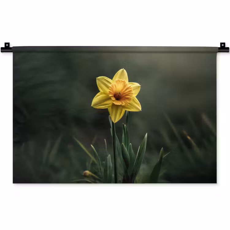 Wandkleed - Bloem - Narcis - Gras - Geel — 1