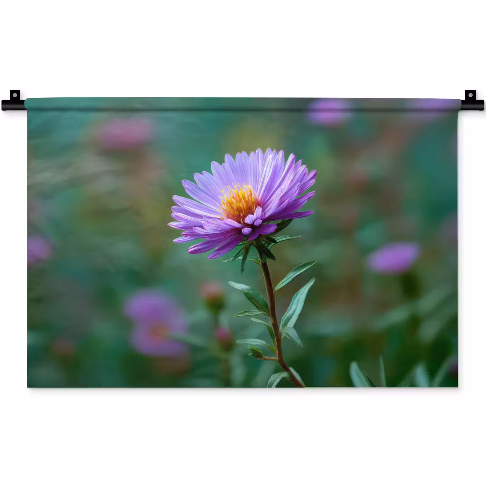 Wandkleed - Aster - Paars - Bloem - Blaadjes — 1