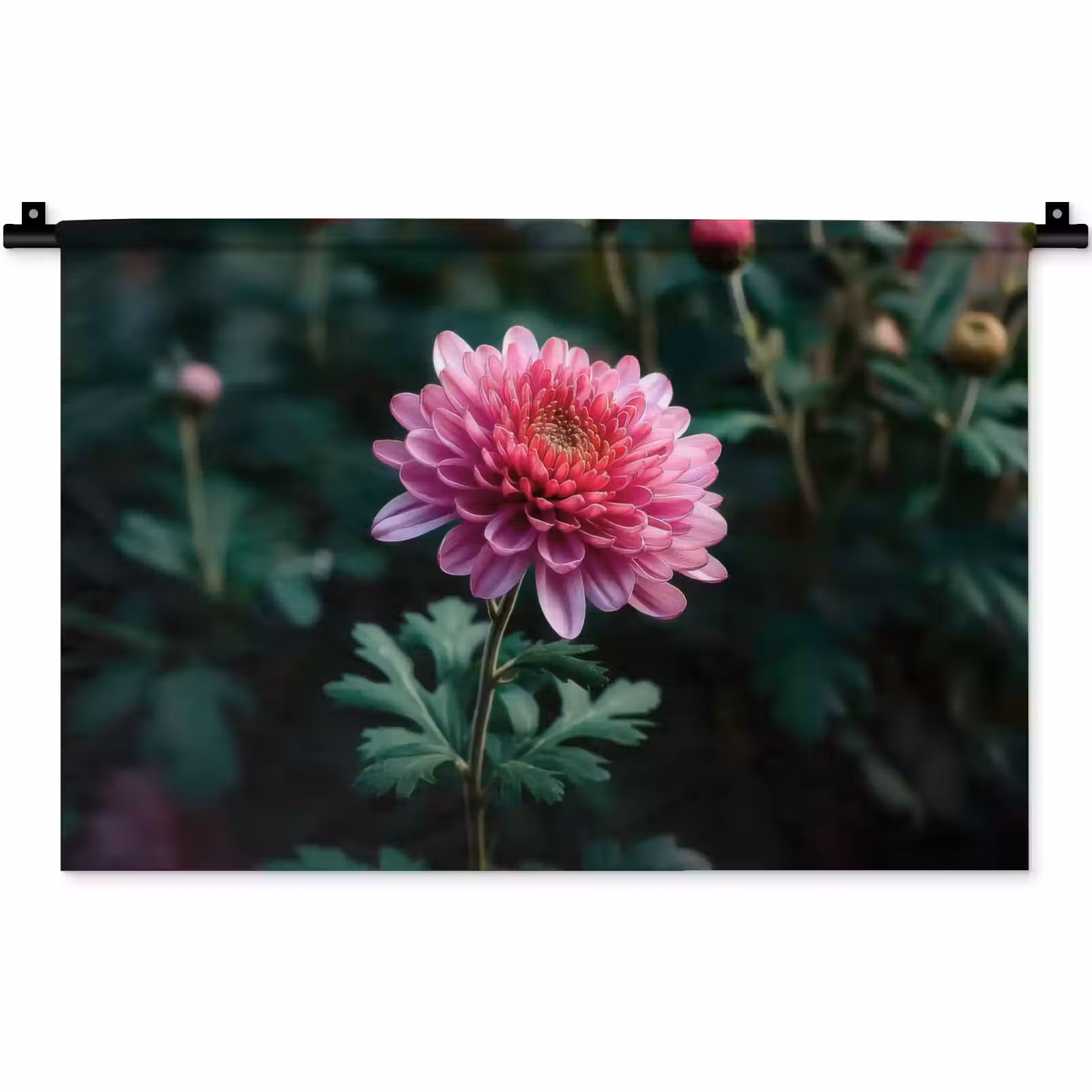 Wandkleed - Blad - Chrysant - Roze - Schaduw — 1