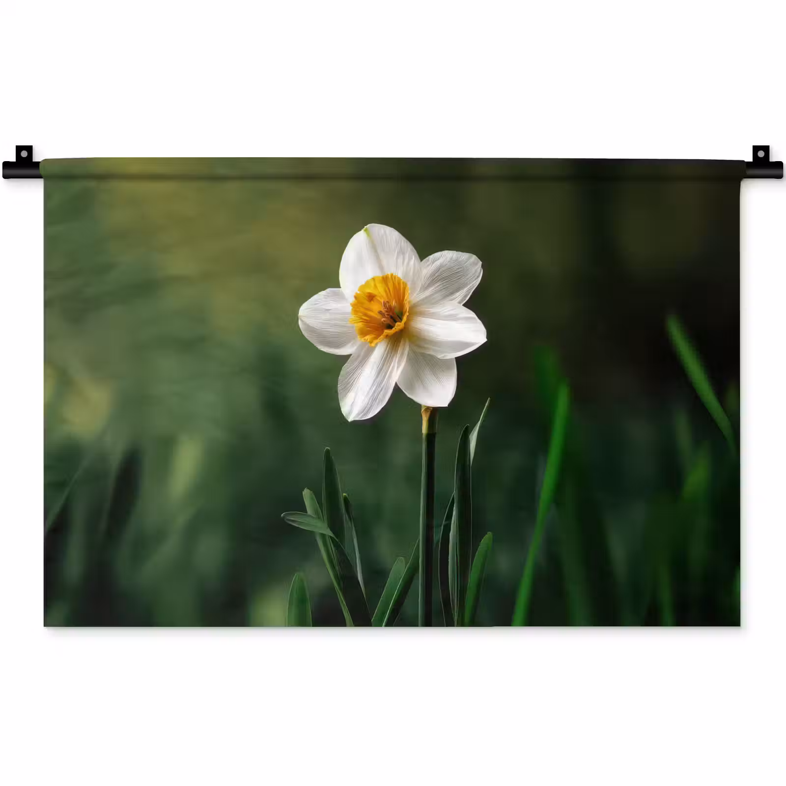 Wandkleed - Narcis - Bloem - Wit - Grassprieten — 1