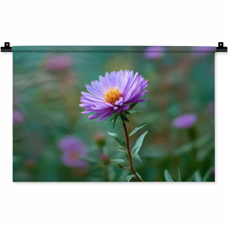Wandkleed - Aster - Paars - Bloem - Blaadjes — 1