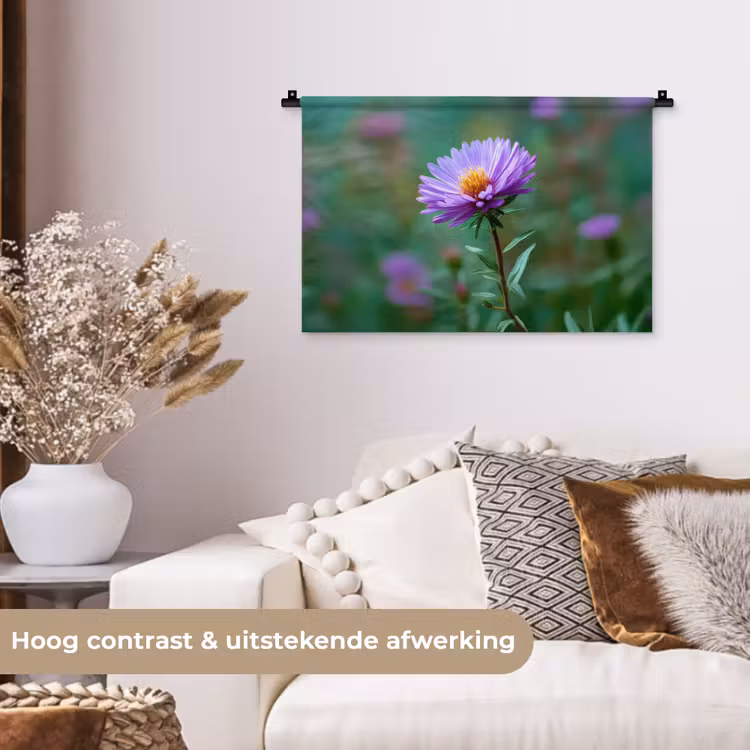 Wandkleed - Aster - Paars - Bloem - Blaadjes — 4