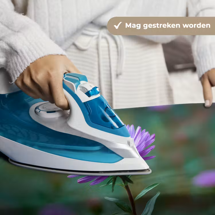 Wandkleed - Aster - Paars - Bloem - Blaadjes — 6