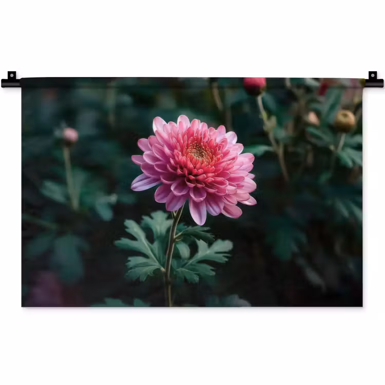 Wandkleed - Blad - Chrysant - Roze - Schaduw — 1