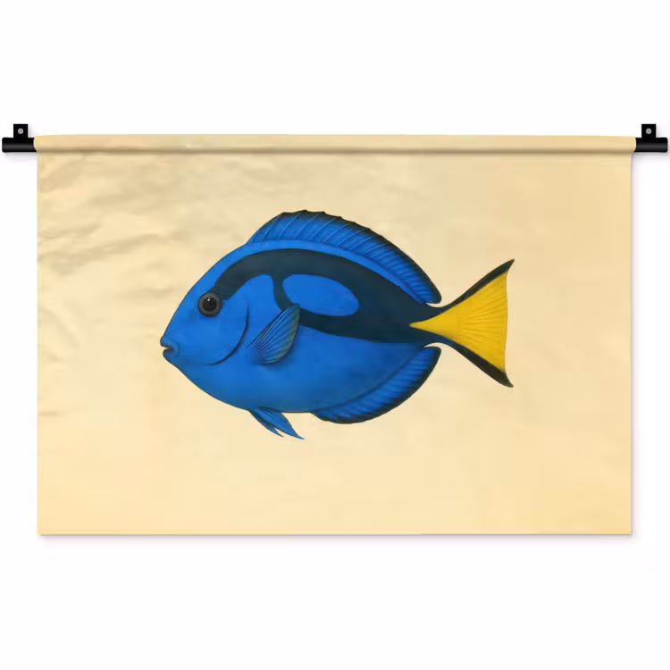 Wandkleed - Blauw - Dory - Vis - Staartvin — 1