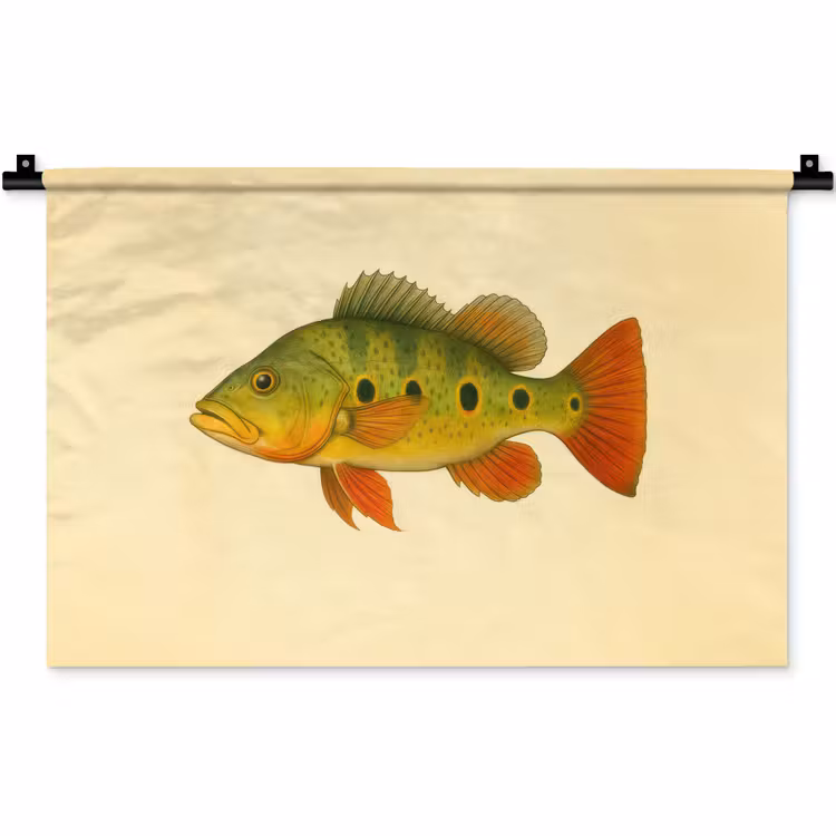 Wandkleed - Schubben - Vis - Groen - Illustratie — 1
