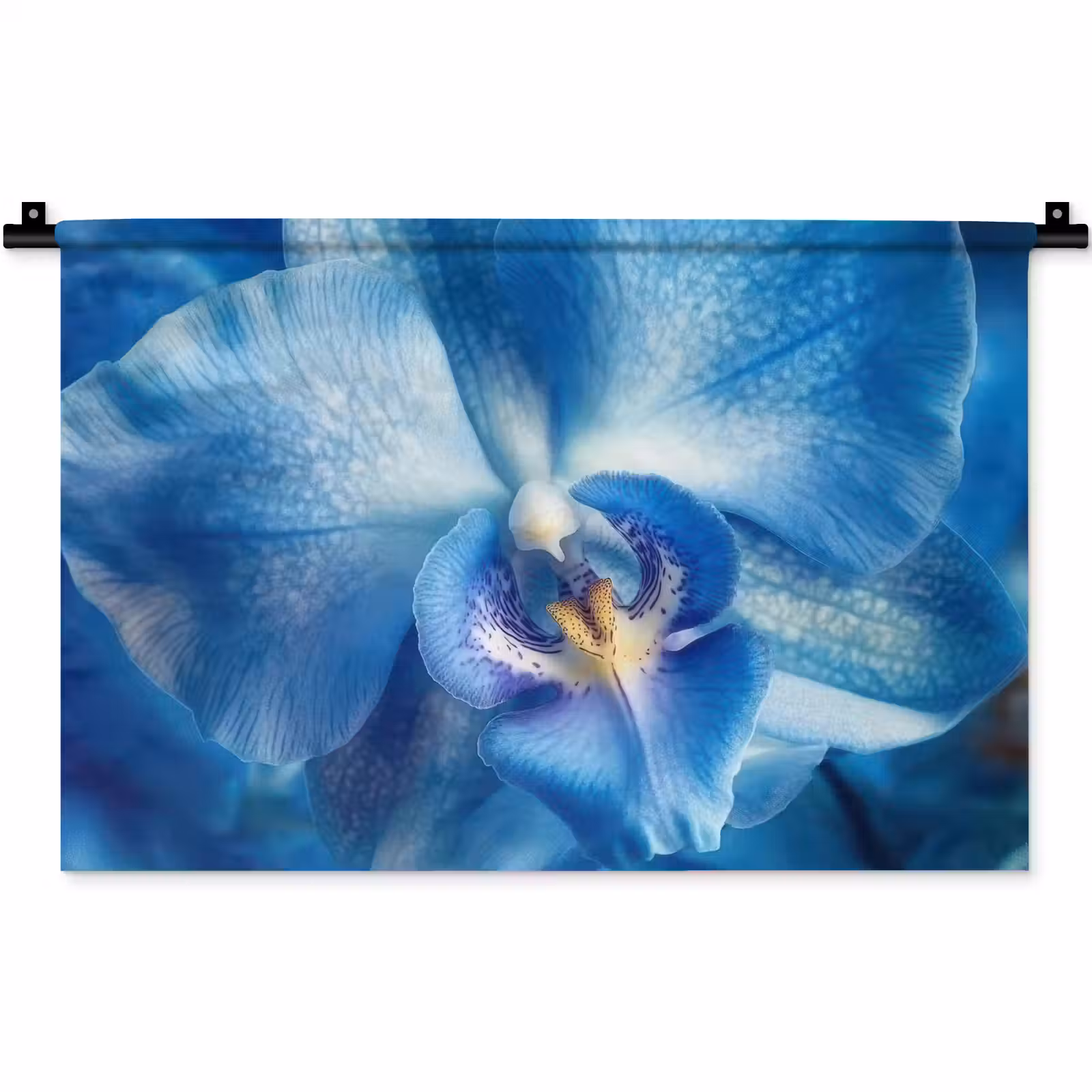 Wandkleed - Blauw - Orchidee - Elegeant — 1