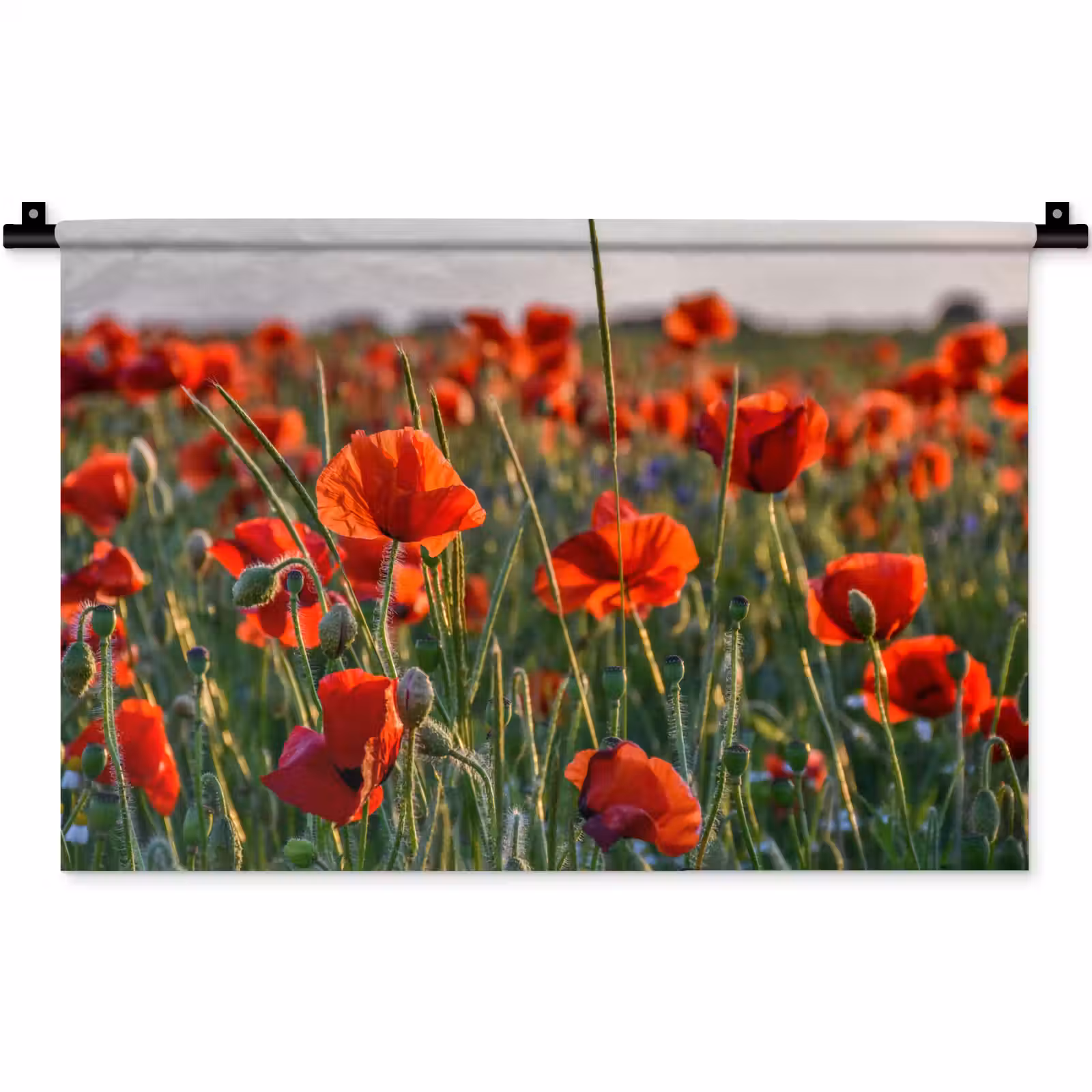 Wandkleed - Bloemen - Klaprozen - Natuur - Rood — 1