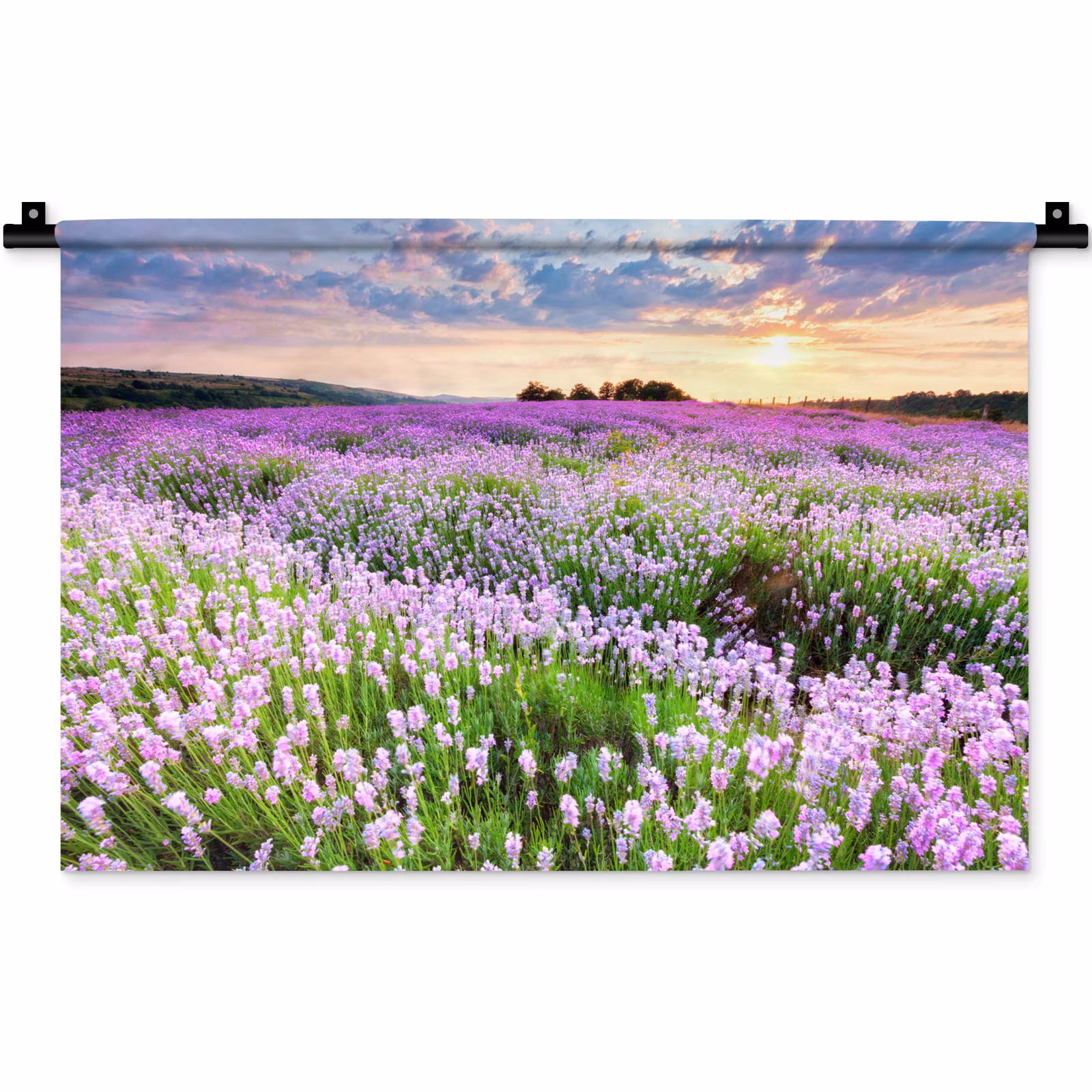 Wandkleed - Lavendel - Bloemen - Zonsondergang - Paars - Weide — 1