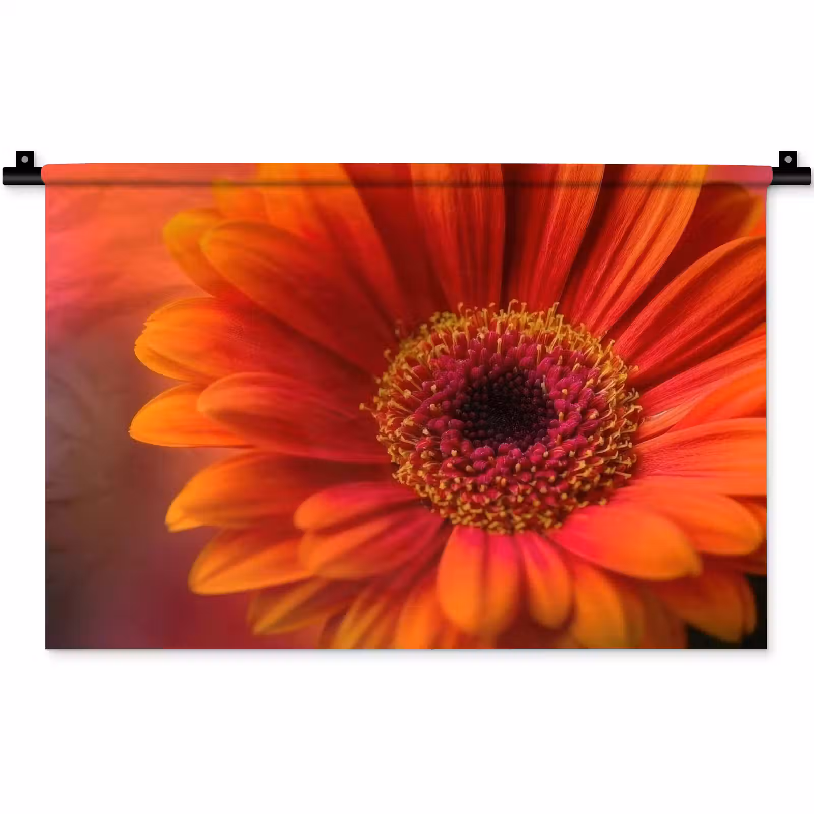 Wandkleed - Oranje - Gerbera - Intens — 1