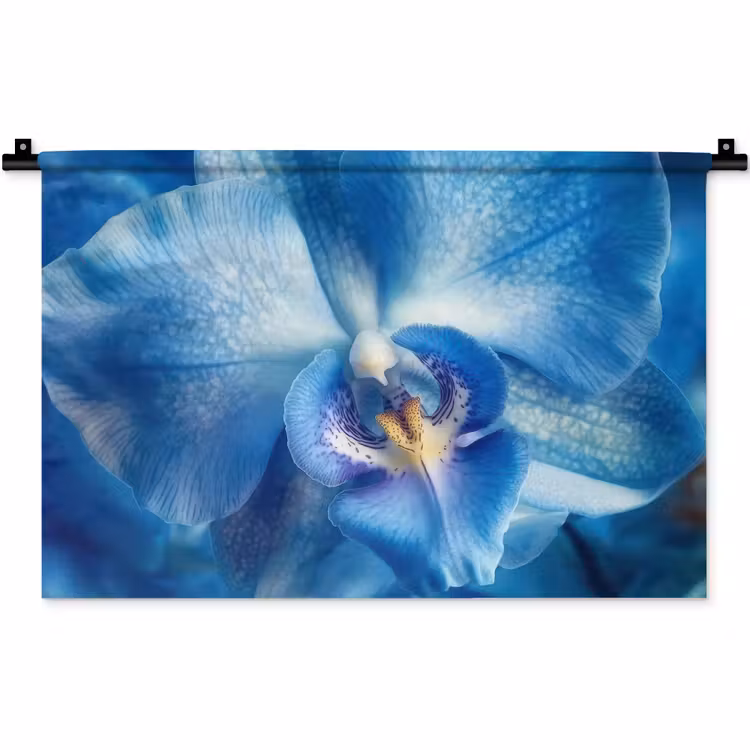 Wandkleed - Blauw - Orchidee - Elegeant — 1