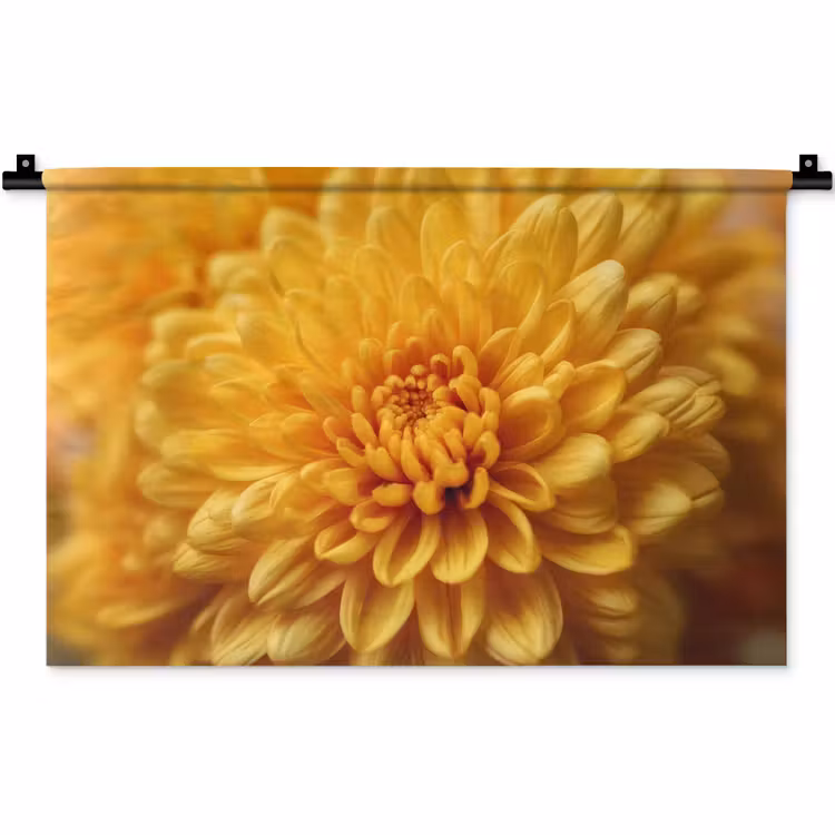 Wandkleed - Geel - Chrysant - Zachtheid — 1