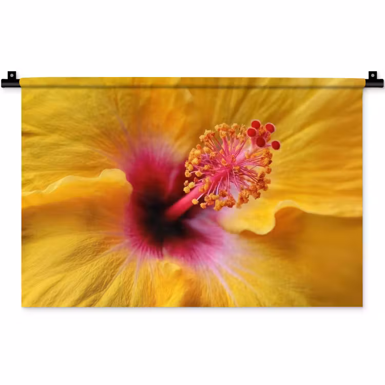 Wandkleed - Geel - Hibiscus - Tropisch — 1