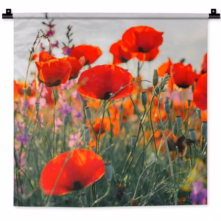 Wandkleed - Klaproos - Bloemen - Rood - Paars - Weide — 1