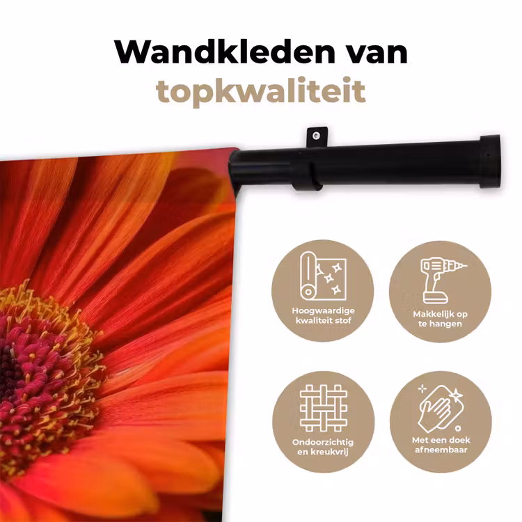 Wandkleed - Oranje - Gerbera - Intens — 3