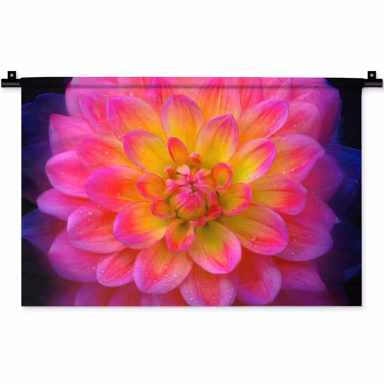 Wandkleed - Roze - Dahlia - Kleurrijk — 1