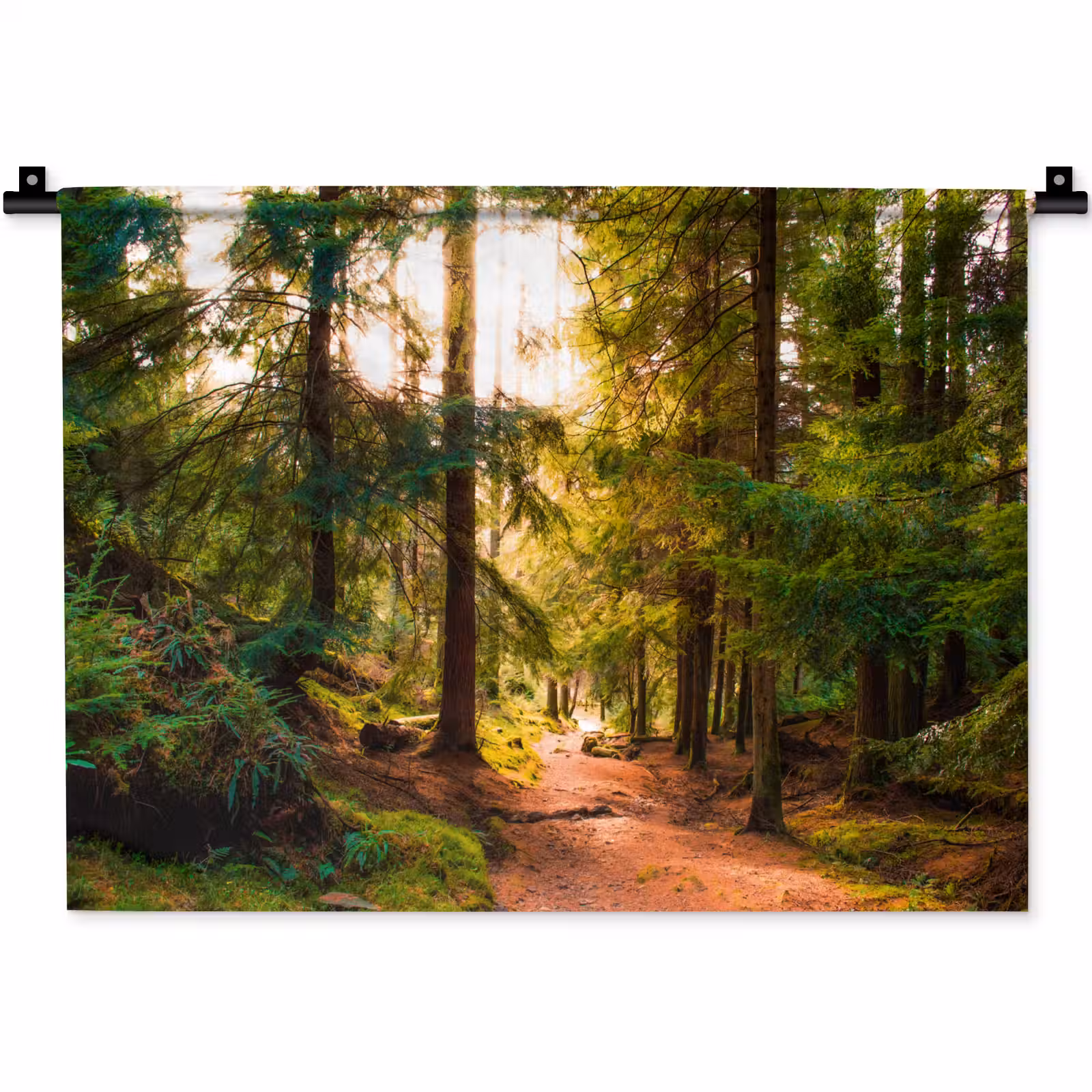Wandkleed - Bos - Pad - Bomen - Groen - Zon - Natuur — 1