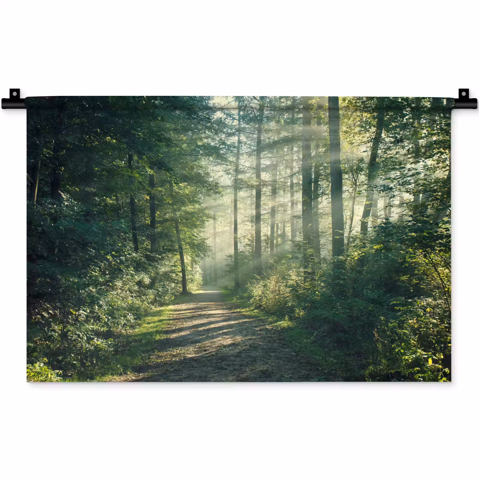 Wandkleed - Bos - Pad - Zon - Bomen - Groen - Natuur — 1