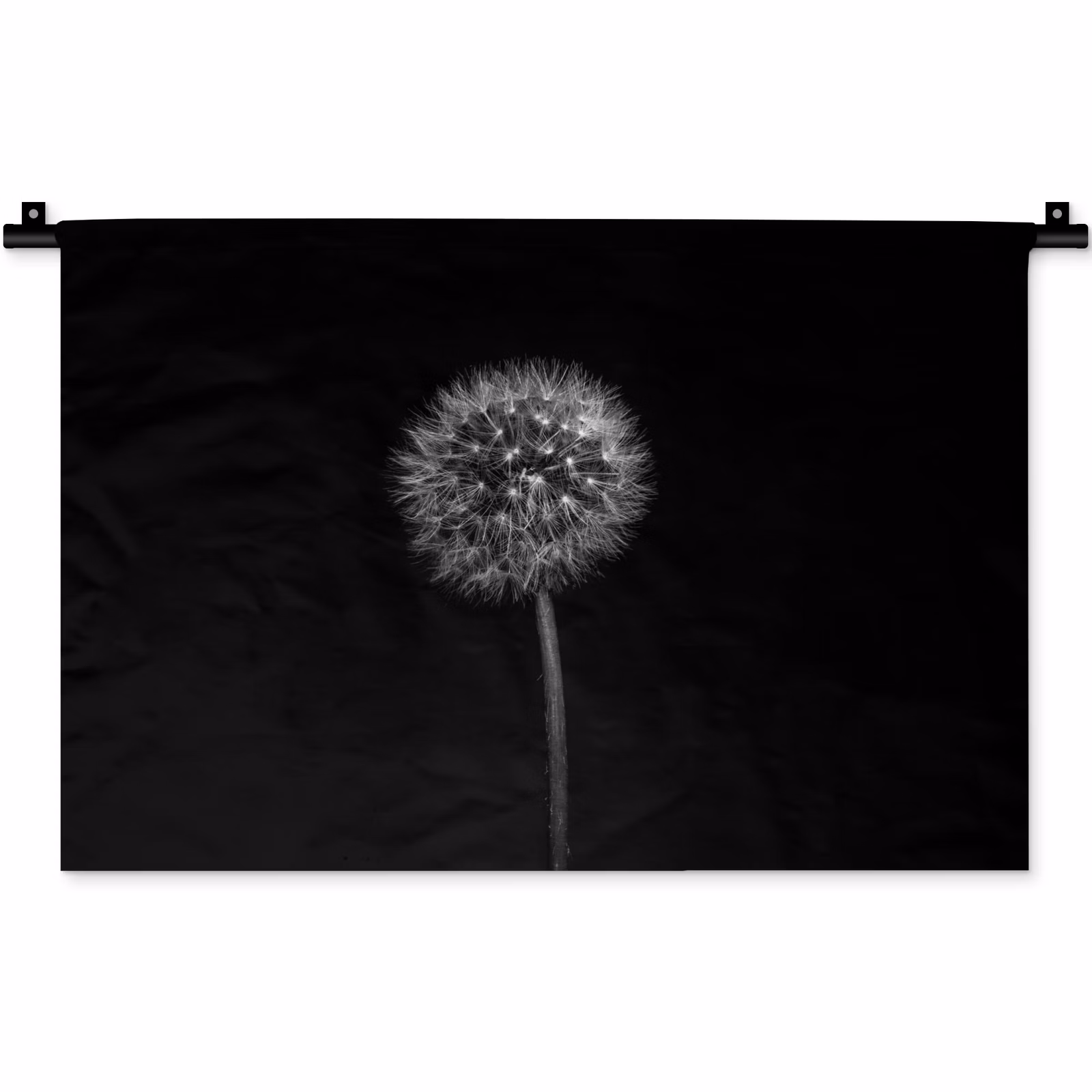 Wandkleed - Paardenbloem - Zwart - Bloemen - Botanisch — 1