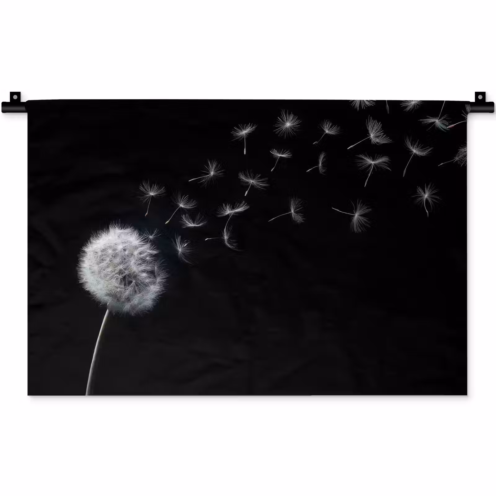 Wandkleed - Paardenbloem - Zwart - Natuur — 1